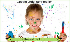 The Web Hub : The process involved in getting a website